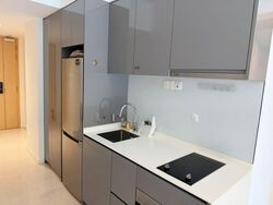 The Tre Ver (D13), Condominium #559708281